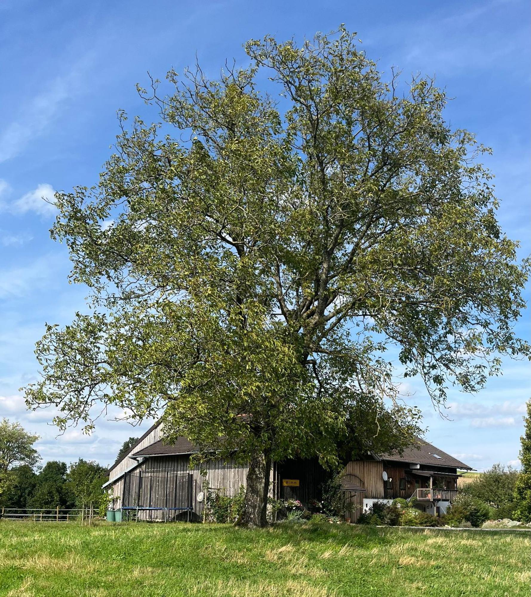 Ferienwohnung Metzner Gars 外观 照片